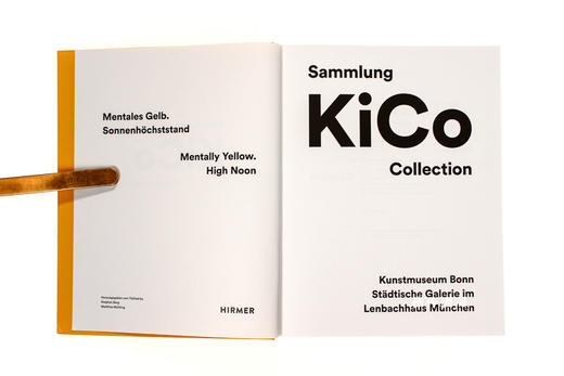 The KiCo Collection/KiCo基金会收藏当代艺术 商品图2