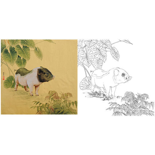 工笔动物白描底稿孙锡之作品十二生肖猪斗方小品册页sy12