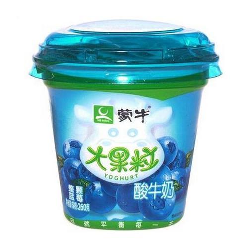 260g单大果粒酸奶蓝莓 商品图0