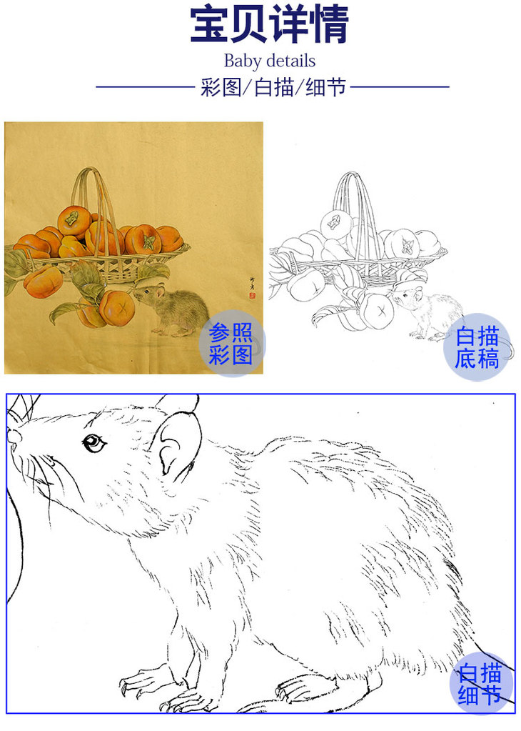 工笔动物白描底稿孙锡之作品十二生肖鼠柿子斗方小品册页sy01
