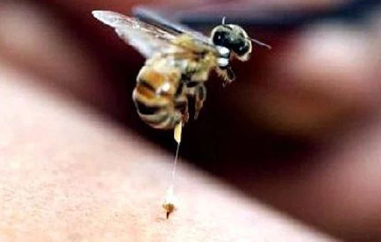 一根刺，两条命，春季外出，别让这种悲剧再次发生