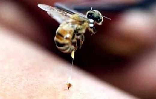 一根刺，两条命，春季外出，别让这种悲剧再次发生 商品图0