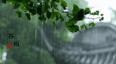 谷雨养生|搭上春季的末班车，给你谷雨最全的养肝、健脾去湿的食谱和小贴士~ 商品图0