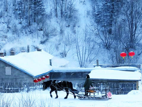 【东北】吉林雾凇、长白山魔界、雪乡、东北虎、丹顶鹤、冰灯雪雕10日摄影创作采风团 商品图10