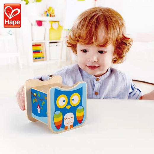 Hape 猫头鹰储钱罐E9336（与常规商品下单一起发货可以联系客服改运费） 商品图0