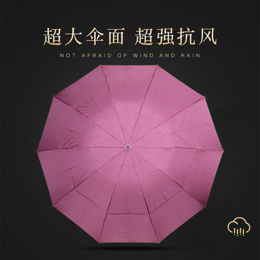优品堂“PG防风伞”超大抗风商务雨伞 商品图2