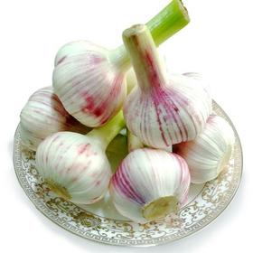 【新鲜】新蒜约500g/份