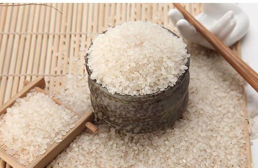 农科院南粳46号大米|5KG礼盒装|120元 商品图0