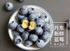 丹东新鲜蓝莓 顺丰冷链包邮 商品缩略图1