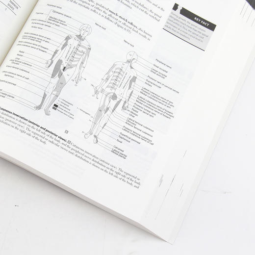 USMLE Step 1 临床知识(第3版)（英文版） 商品图4