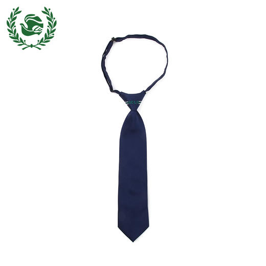 男孩领带 Necktie for boys* 商品图0