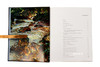 John Singer Sargent: Figures and Landscapes  1914-1925: The Complete Paintings  Volume IX  萨金特：人物风景1 商品缩略图3