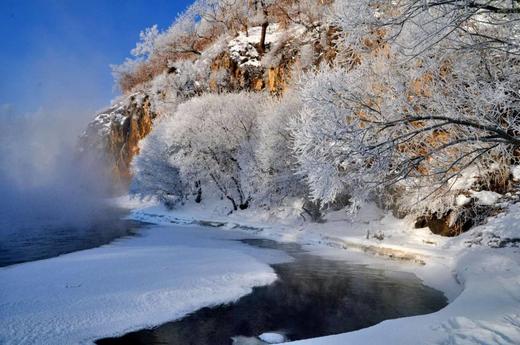 【颂•雪 黑龙江】扎龙，五大连池，大平台库尔滨雾凇、林海奇石雪松7天 商品图8