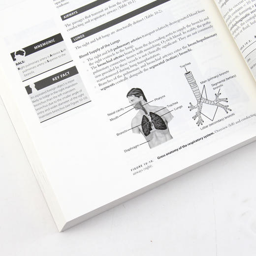 USMLE Step 1 临床知识(第3版)（英文版） 商品图3