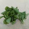 小白菜 商品缩略图0