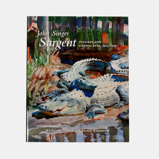 John Singer Sargent: Figures and Landscapes  1914-1925: The Complete Paintings  Volume IX  萨金特：人物风景1 商品图0