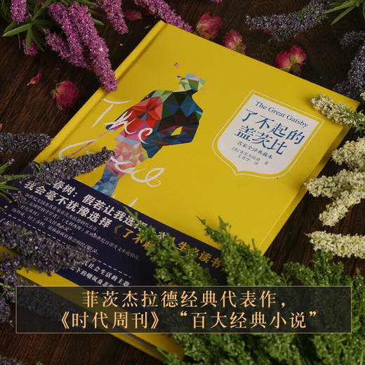 汉译经典文库-了不起的盖茨比 儿童文学 11-18岁 HL 商品图4