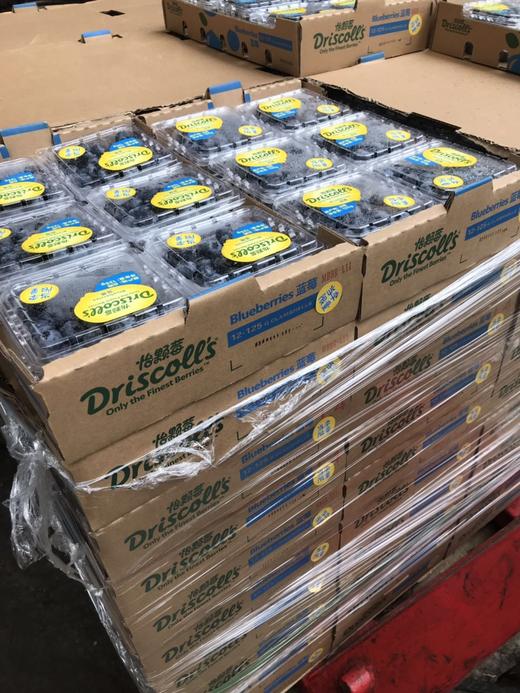 【Driscoll限量版蓝莓王】满口都是花香味 啵啵脆甜 ，超大颗。 商品图4