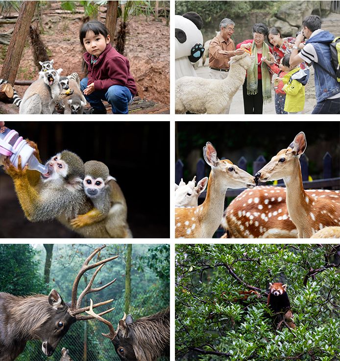 【碧峰峡野生动物园】3.