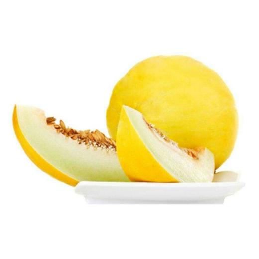 新鲜黄金香瓜约540g个