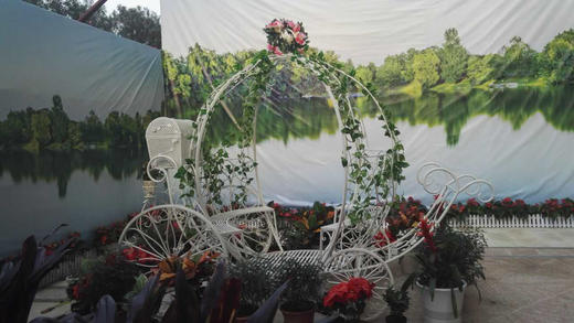 南瓜马车【运费自理】 商品图2