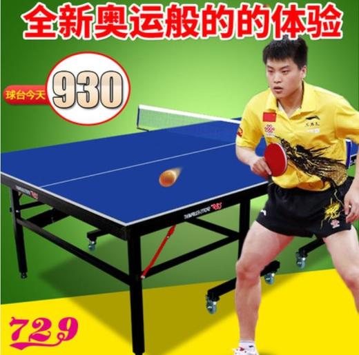 729友谊乒乓球桌家用可折叠移动式乒乓球台球桌TB-2S/TC-2S 商品图0