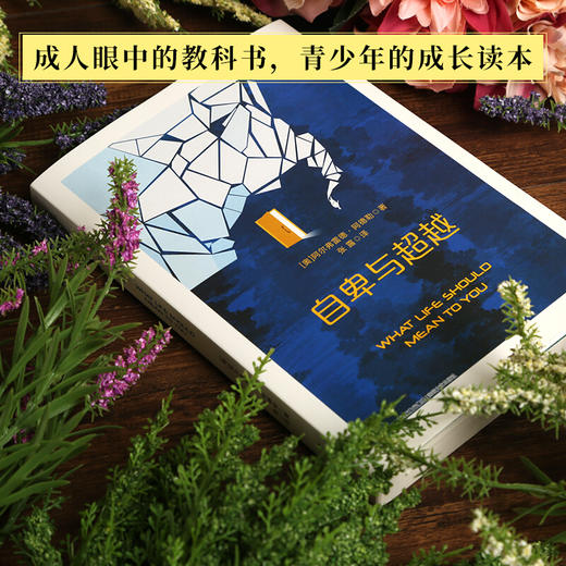 西方学术百年经典-自卑与超越 人文社科 18岁以上 HL一本通俗中包含深奥哲学与巨大学术价值的心理学著作 商品图1