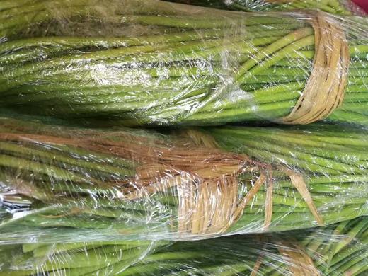 【预售，4.19日起按排单顺序开始发货】山东 蒜苔2斤装左右/4斤装左右 商品图1