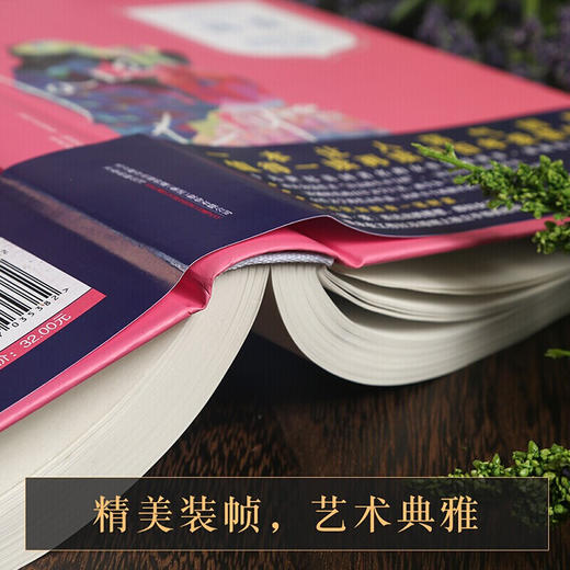 汉译经典文库-简爱 儿童文学 11-18岁  HL 商品图3