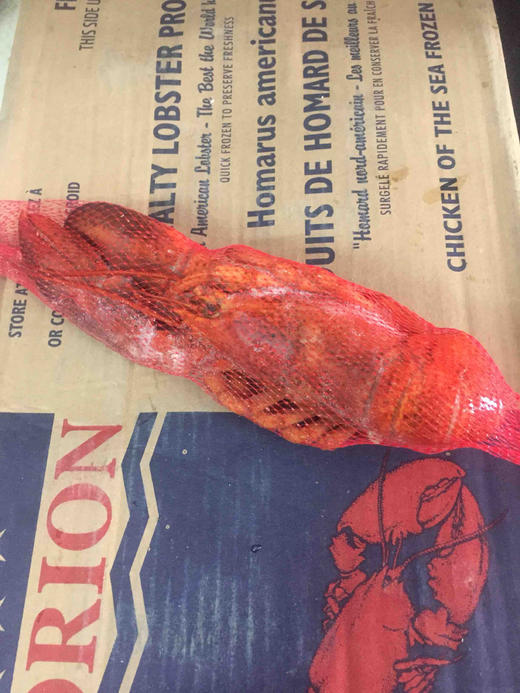 大龙虾波士顿龙虾 商品图1
