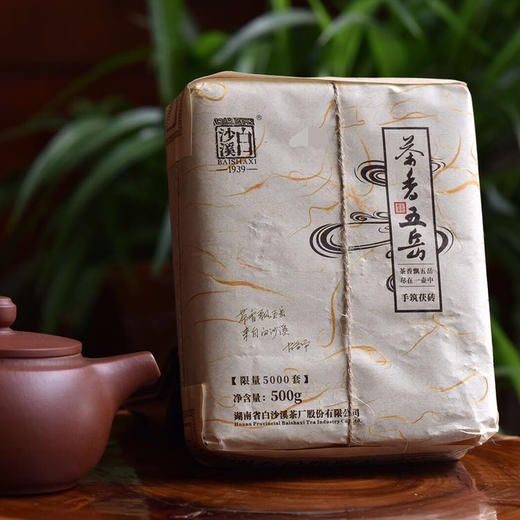 荒山料500g手筑茯茶金花茂盛湖南安化黑茶限量收藏 商品图3