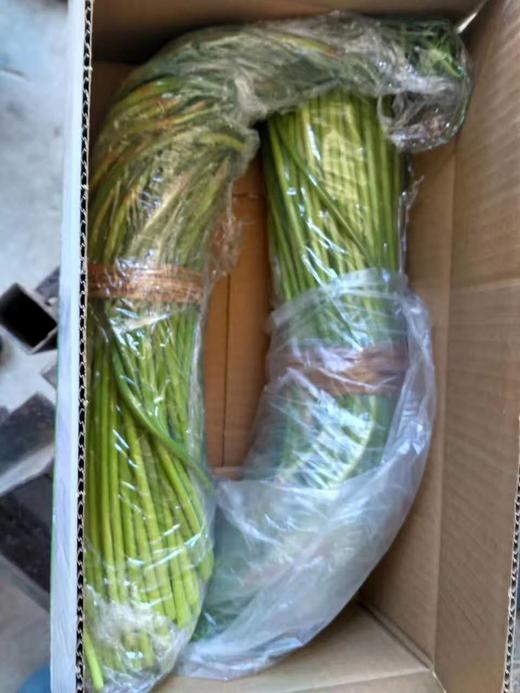 【预售，4.19日起按排单顺序开始发货】山东 蒜苔2斤装左右/4斤装左右 商品图2