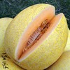 冰火蜜瓜 6-7斤/件（2-3头）2023国货新品种 冰火蜜瓜 新疆哈密瓜 商品缩略图5