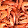 熟虾对虾红虾基围虾 商品缩略图0