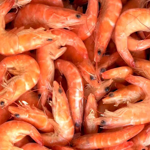 南美冷冻熟虾对虾野生红虾基围虾