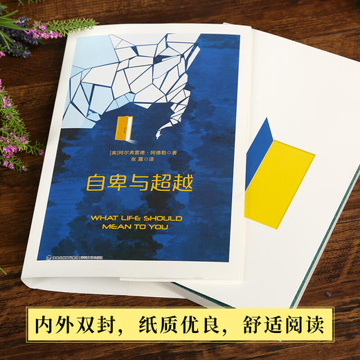 西方学术百年经典-自卑与超越 人文社科 18岁以上 HL一本通俗中包含深奥哲学与巨大学术价值的心理学著作 商品图2