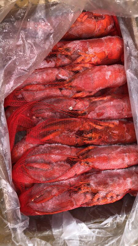 大龙虾波士顿龙虾 商品图0