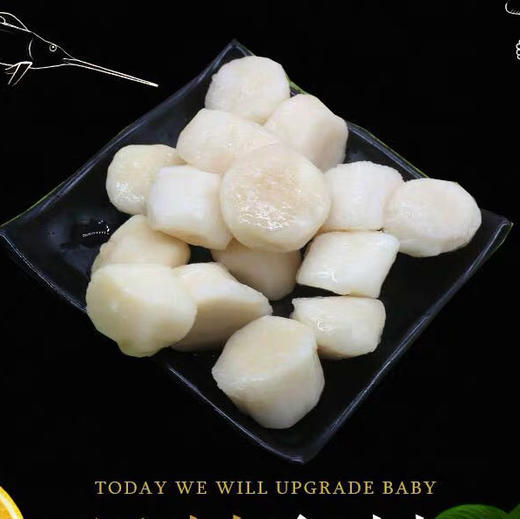 日本北海道帆立贝柱/大号带子宝宝辅食元贝 商品图1