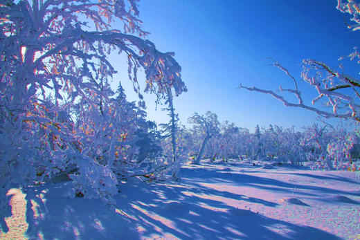 【东北】吉林雾凇、长白山魔界、雪乡、东北虎、丹顶鹤、冰灯雪雕10日摄影创作采风团 商品图9