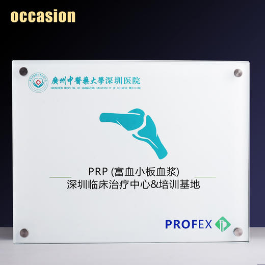 水晶挂墙奖牌定制定做广告牌加盟商授权牌聘书高档证书牌匾制定 商品图1