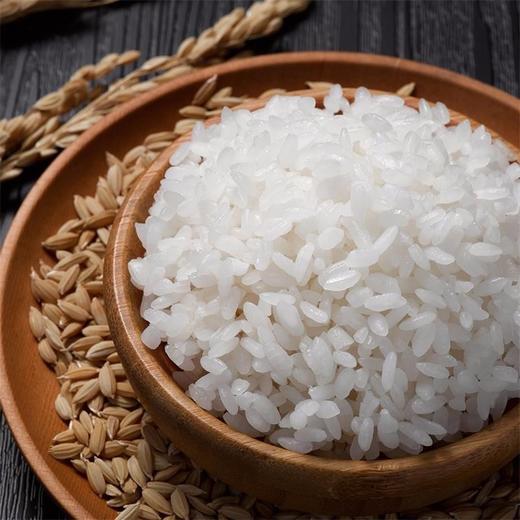 金龙鱼盘锦大米5kg/袋 商品图1