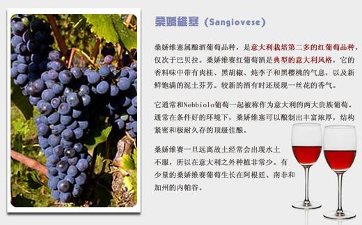 天津-卡萨诺瓦桑娇维塞红葡萄酒 商品图1