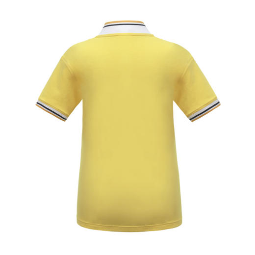 【鱼跃龙门】夏季短袖T恤拼色【锦绣育才教育集团】 商品图1