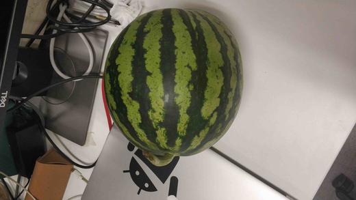 达子测试批改 商品图0