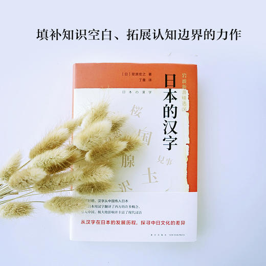 岩波新书精选06·日本的汉字 商品图2