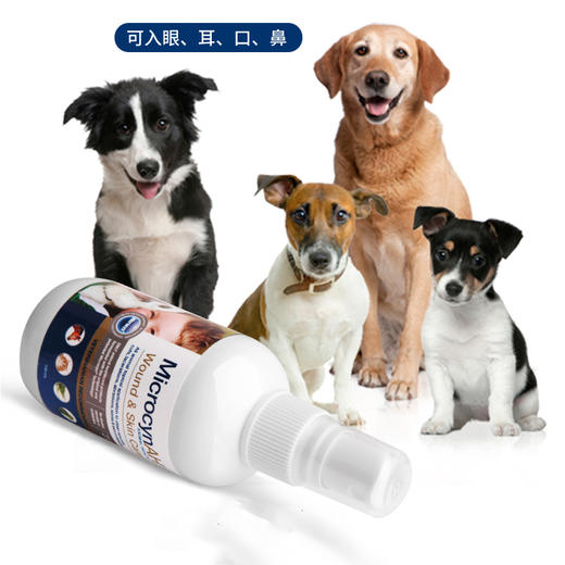 【万能皮肤神仙水】家庭常备药美国进口麦高臣犬猫神仙水1支包邮 商品图1
