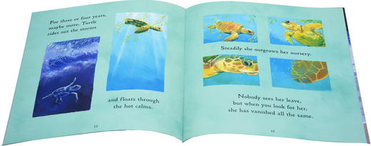 【直播专享·4-12岁 对标英国小学科学教育】英文原版绘本 Walker Nature Story Collection 儿童科普自然百科绘本 彩图10册 商品图5