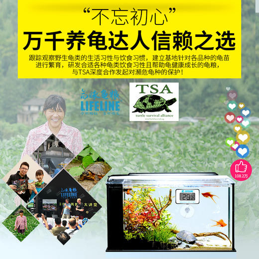 【防水，测量水里温度】温度计电子数显led水温计 商品图4