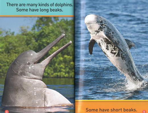 【宝莉爹书单·3-5岁】入门级29册 美国国家地理分级读物 National Geographic Pre-Readers 儿童科普百科全彩版 初级起步阶段 商品图5