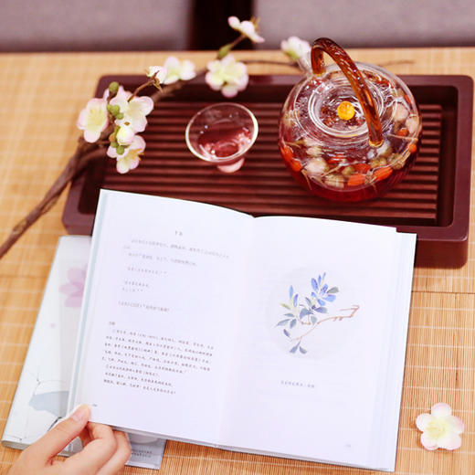 《浮生六记》《人间词话》| 中国颇具影响力的美学经典 商品图4